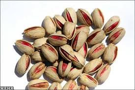 伊朗：世界开心果之都