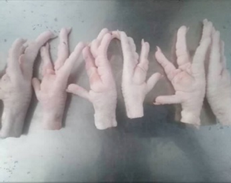 出口伊朗鸡爪（Chicken Paw）—— 专为中国市场定制的高品质蛋白产品